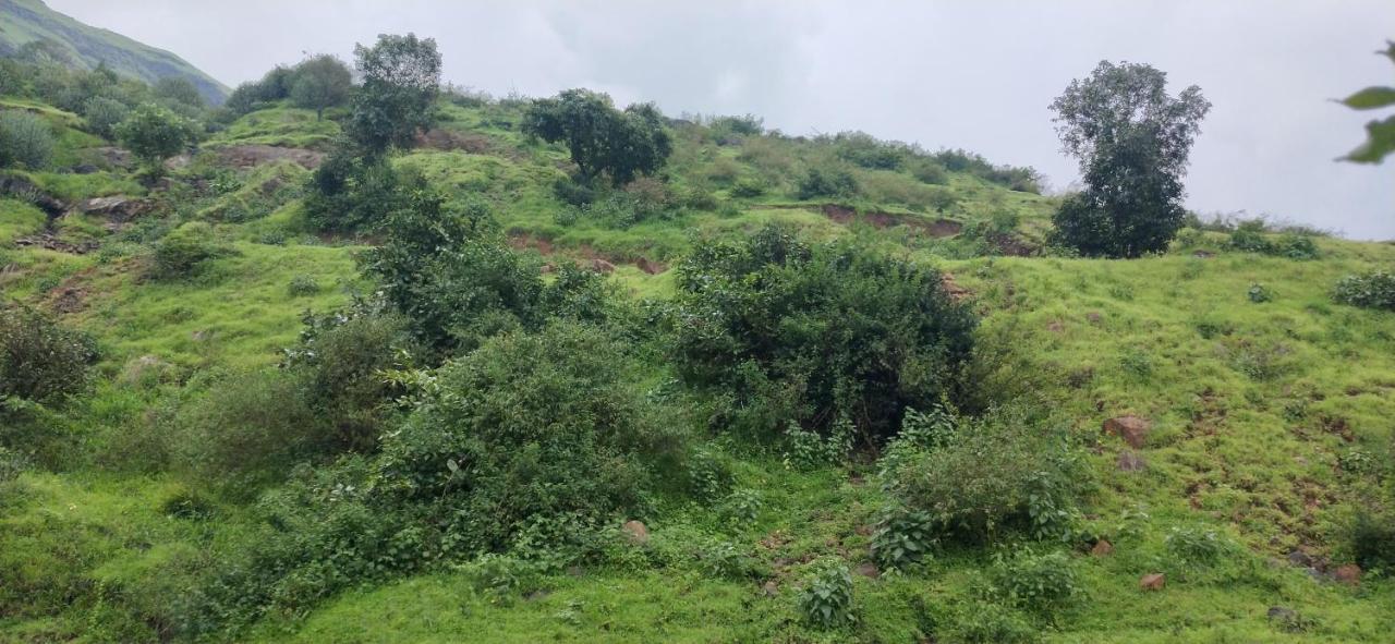 Golden Resort And Farm Nashik Esterno foto
